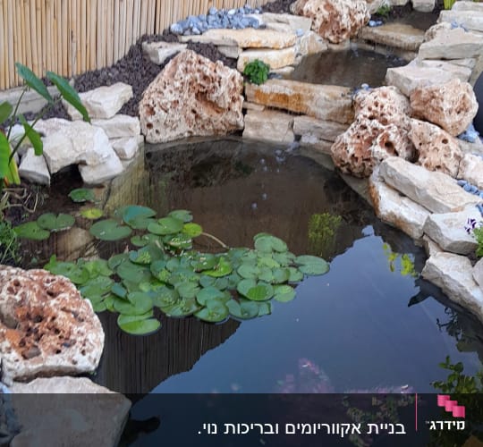 בריכת נוי מעוצבת מאבנים טבעיות עם מפל וצמחי מים